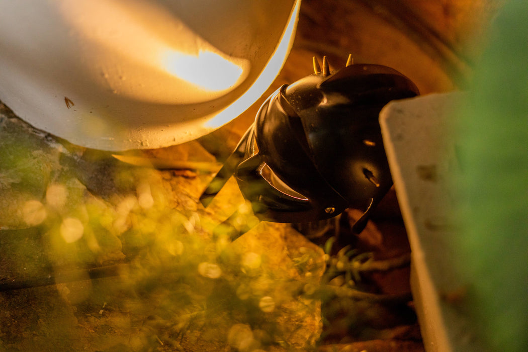 Maximus Gladiator Spike Helmet - Table Tops