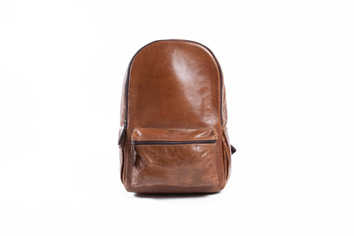 Vintage Leather Camera Backpack