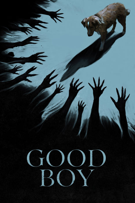 Good Boy (2025) DVD - Horror