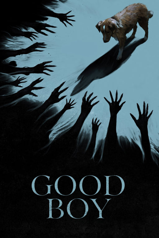 Good Boy (2025) DVD - Horror - Movie, TV Show