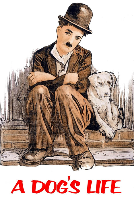 A Dog's Life (1918) Movie DVD