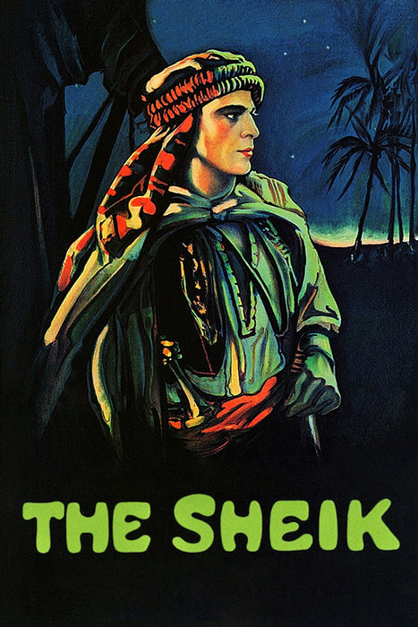 The Sheik&nbsp;(1921) Movie DVD