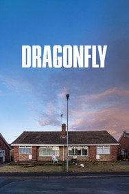 Dragonfly (2025) Thriller English Audio New Movie DVD Box Set