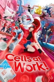 Cells at Work! (2024) English Dvd Movie Box Set
