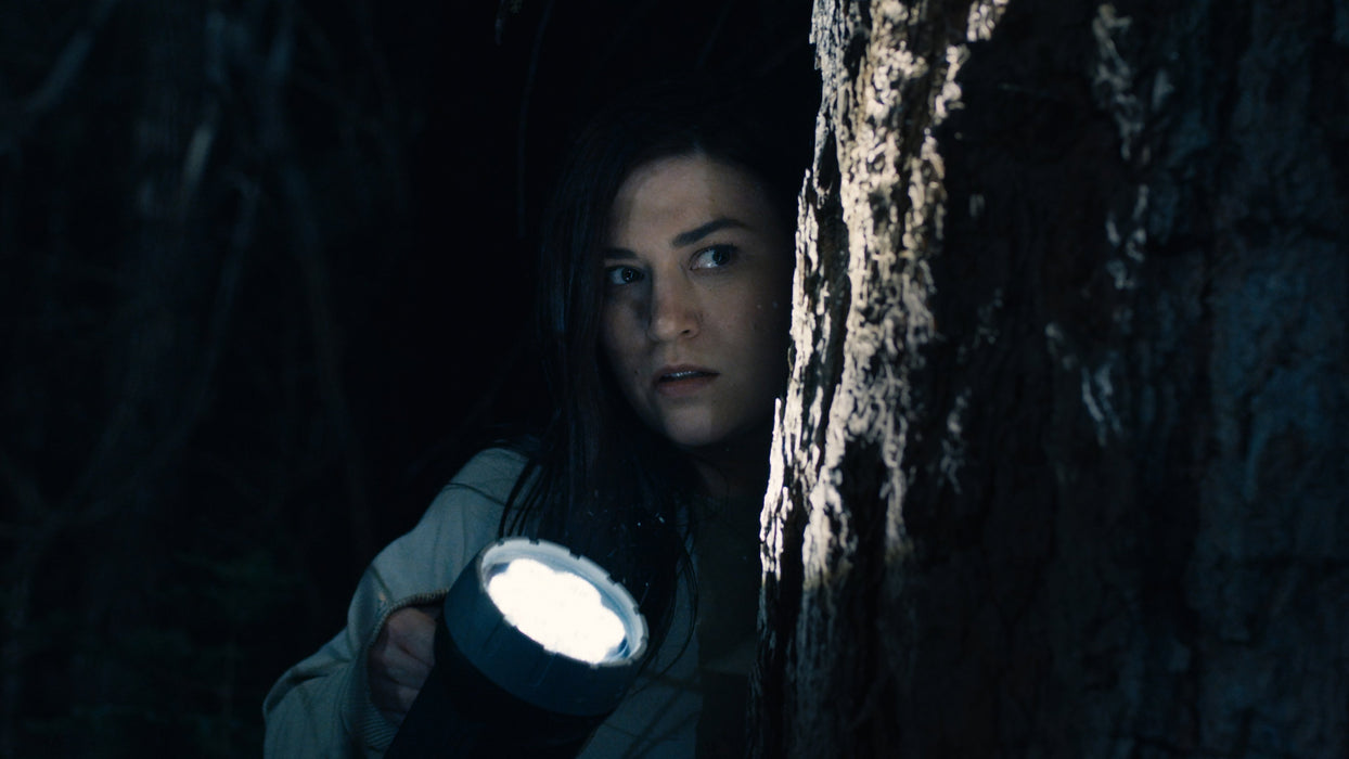 Stranger in the Woods (2024) DVD New Set [English Audio - Free Shipping]