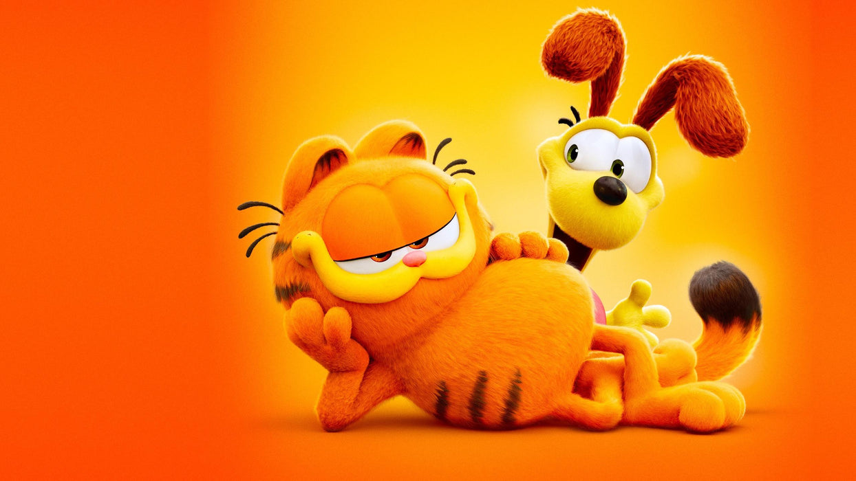 The Garfield Movie (2024) DVD New Set [English Audio - Free Shipping]