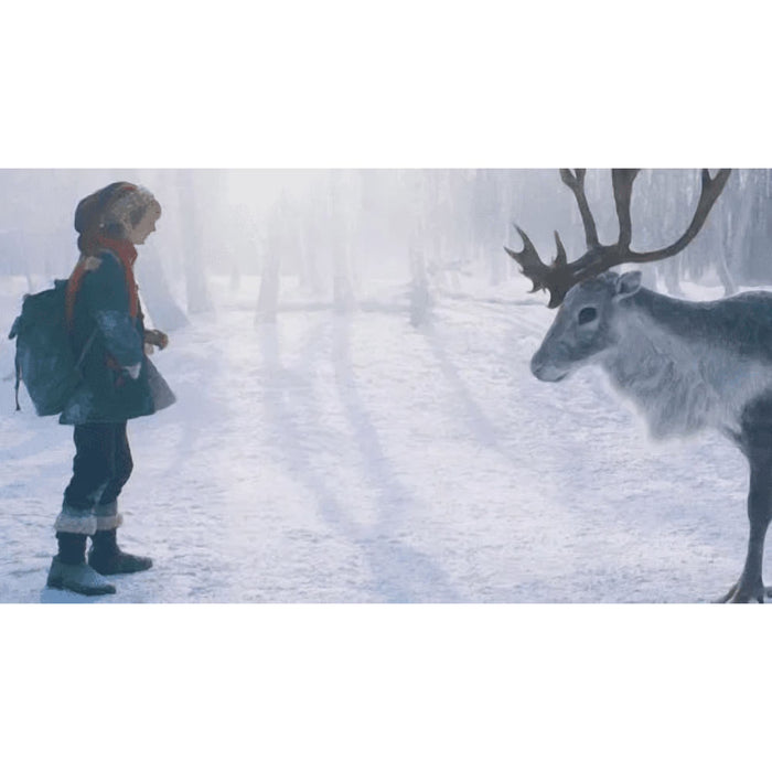The Christmas Chronicles 2 & Boy Called Christmas : 2 Movie Combo DVD