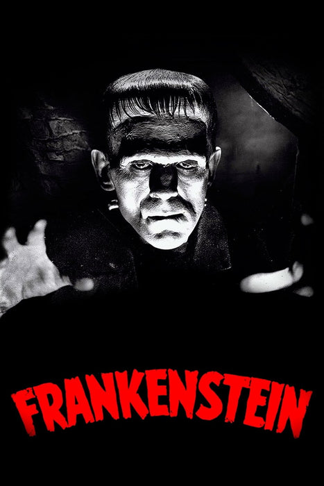 Frankenstein&nbsp;(1931) Movie DVD Drama, Horror, Sci-Fi