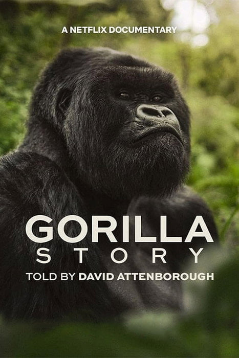 A Gorilla Story: Told by David Attenborough (2026) English Dvd Movie Box Set