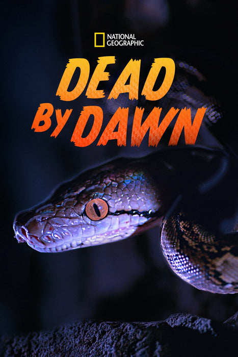 Dead by Dawn Season 1 DVD