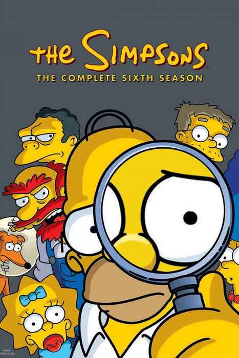 The Simpsons: The complete Season 6 DVD