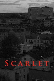 Scarlet (2025) Drama English Audio New Movie DVD Box Set