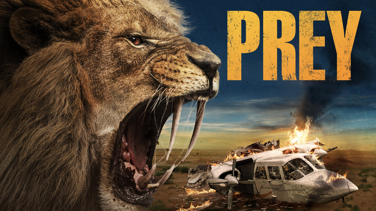 Prey (2024) DVD New Set [English Audio - Free Shipping]