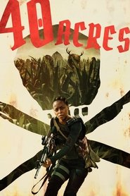 40 Acres (2024) English Dvd Movie Box Set