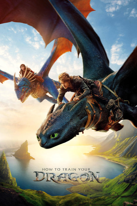 How to Train Your Dragon (2025) DVD Set New Brand