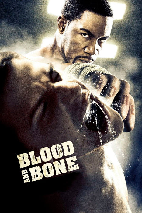 Blood and Bone (2009) English DVD Movie Box Set