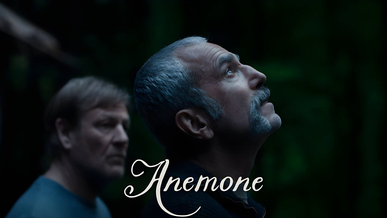 Anemone (2025) DVD New Movie Set- Free Shipping