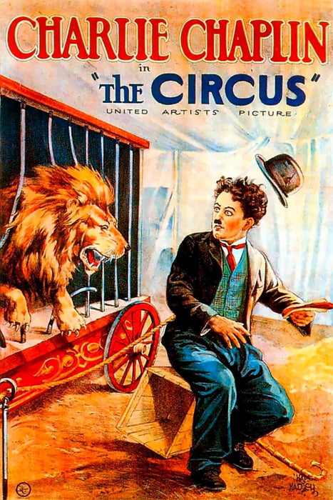 The Circus&nbsp;(1928) Movie DVD