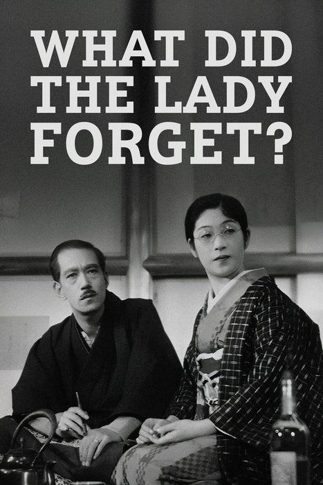 What Did the Lady Forget?&nbsp;(1937) Movie DVD Comedy, Drama