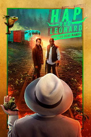 Hap and Leonard (Season 1 – 3) (2016–2018) Crime English Audio TV Series DVD Box Set New