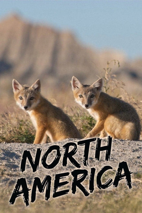 North America Season 1 DVD
