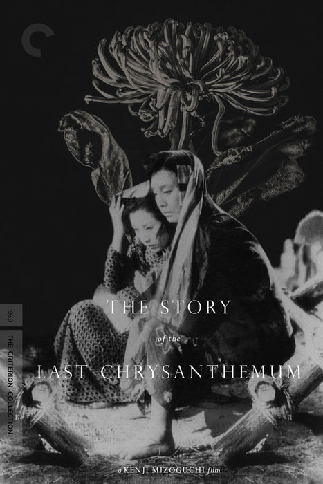 The Story of the Last Chrysanthemum&nbsp;(1939) Movie DVD Drama, Romance