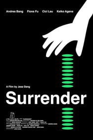 The Surrender (2025) Drama English Audio New Movie DVD Box Set