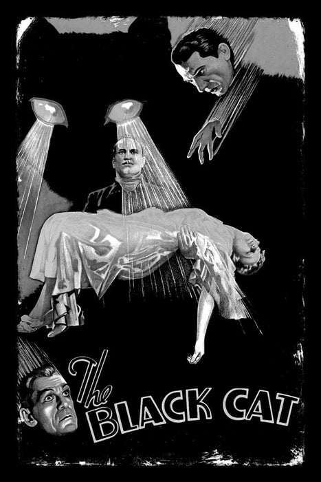 The Black Cat&nbsp;(1934) Movie DVD Crime, Horror, Romance