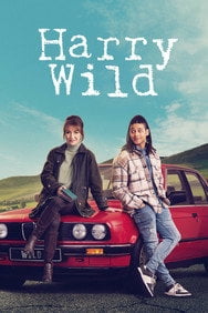 Harry Wild (2023) [Season-2] English Mystery Drama Series Box Set New DVD