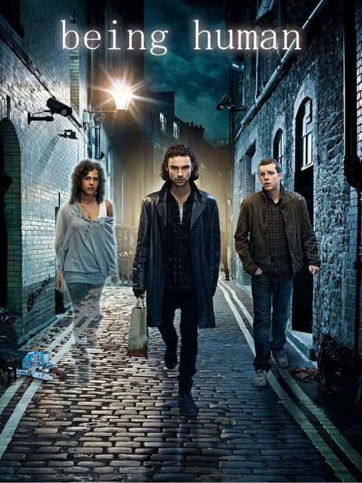 Being Human UK Season 1 to 5 Complete DVD