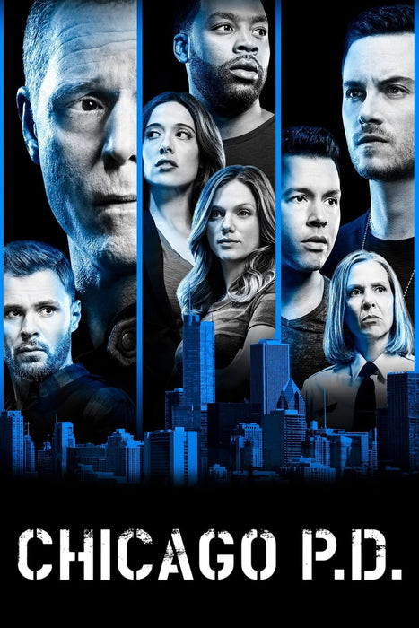 Chicago P.D. Season 6 DVD
