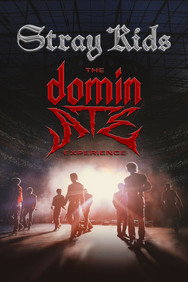 Stray Kids: The dominATE Experience (2026) Music,Documentary English DVD Movie Box Set