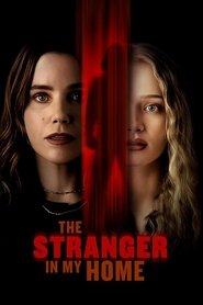 The Stranger in My Home (2025) English Dvd Movie Box Set