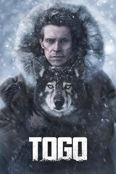 Togo (2019) English Dvd Movie Box Set