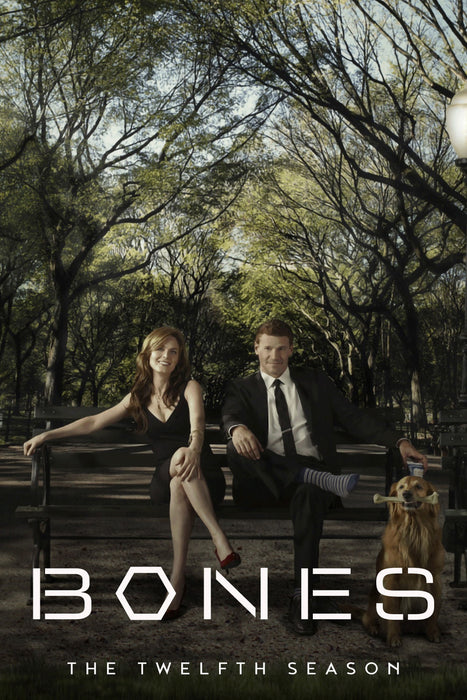 Bones Season 12 DVD - Crime and Drama
