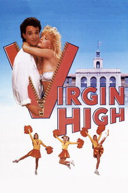 Virgin High (1991) Comedy English Audio Movie DVD Box Set New