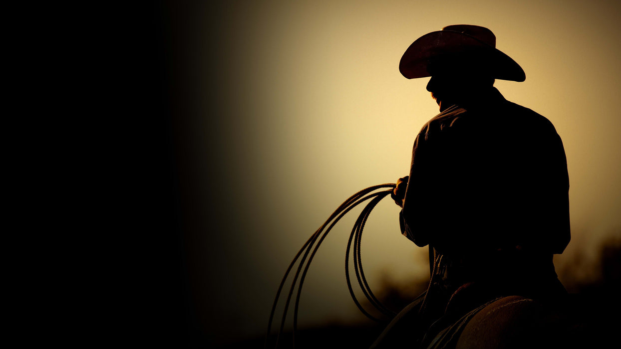 The Last Rodeo (2025) DVD Set New Brand