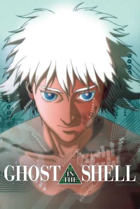 Shell (2024) DVD New Set [Free Shipping]