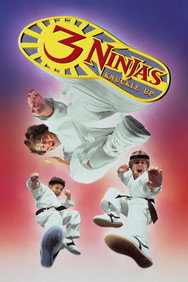 3 Ninjas Knuckle Up (1995) Action English Audio Movie DVD Box Set New