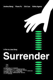 The Surrender (2025) Drama English Audio New Movie DVD Box Set