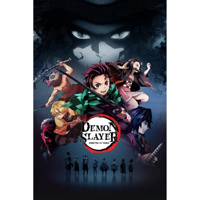Demon Slayer: Kimetsu no Yaiba Season 1 to 5 DVD - Animation, Action & Adventure, and Sci-Fi & Fantasy