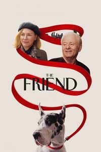 The Friend (2024) English Dvd Movie Box Set