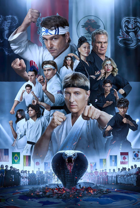Cobra Kai: Complete Series S1-S6 (DVD Bundle)