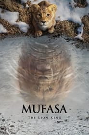 Mufasa: The Lion King (2024) English Dvd Movie Box Set
