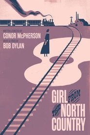 Veto Girl from the North Country (2024) English Dvd Movie Box Set - Movie, TV Show