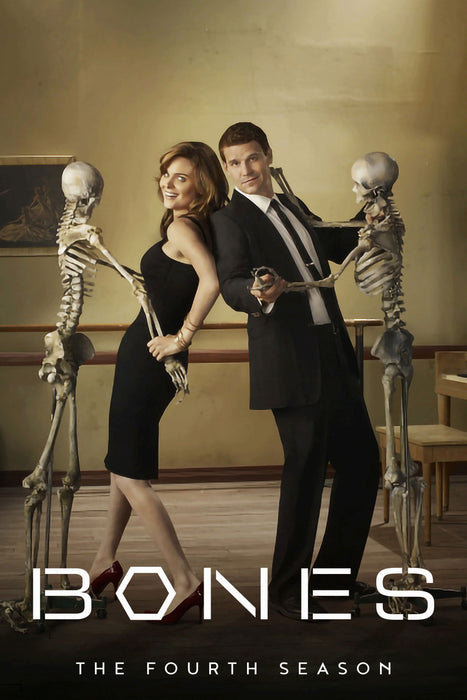 Bones Season 4 DVD - Crime and Drama