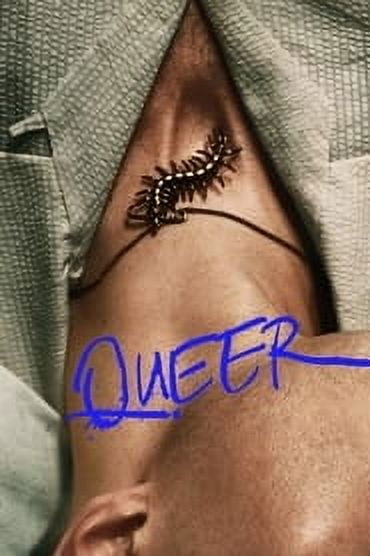 Queer (2024) English Dvd Movie Box Set