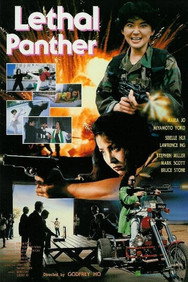 Lethal Panther (1990) Action English Audio Movie DVD Box Set New