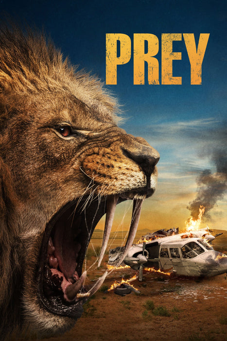 Prey (2024) DVD New Set [English Audio - Free Shipping]