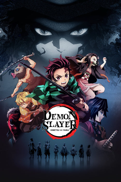 Demon Slayer: Kimetsu no Yaiba Season 1 to 5 DVD - Animation, Action & Adventure, and Sci-Fi & Fantasy